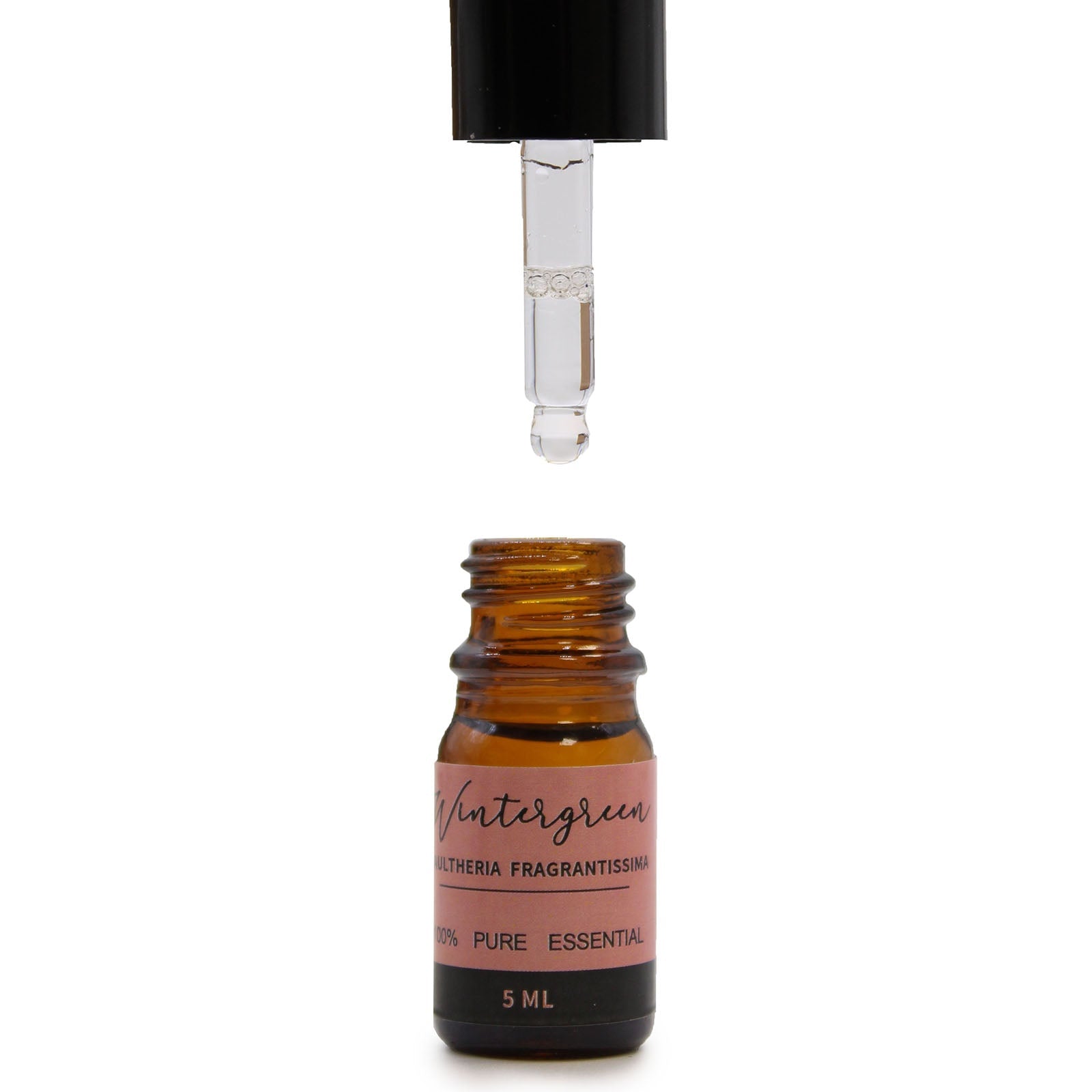 Aromatherapy Essential Oil Set - The Top 12 From Witch, Please!