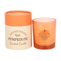 Autumn Wishes Pumpkin Pie Candle - Candle