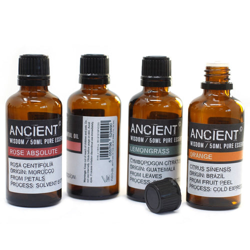 Basil 50ml Professional Essential Oil