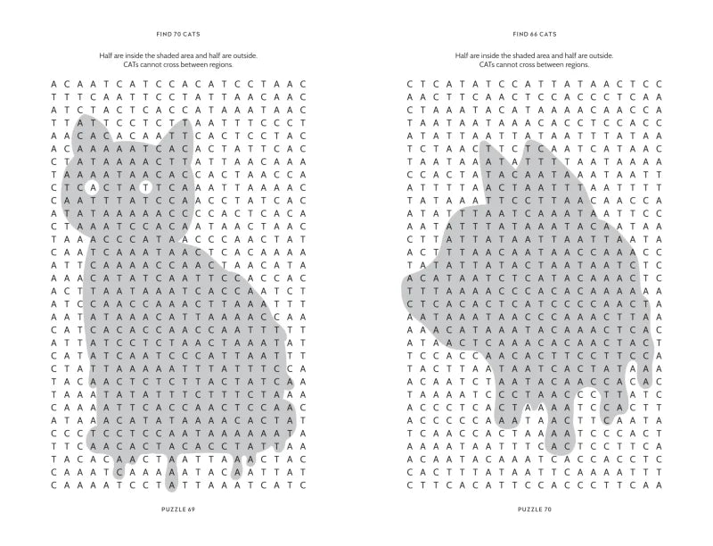Bats, Cats and Rats : The Almost Impossible Spooky Wordsearch