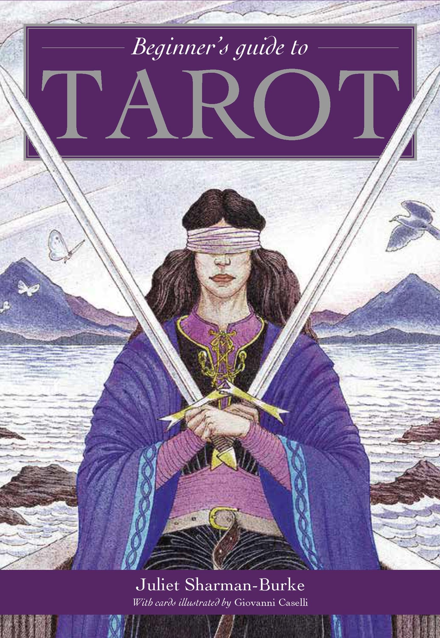 Beginner’s Guide To Tarot Cards Book