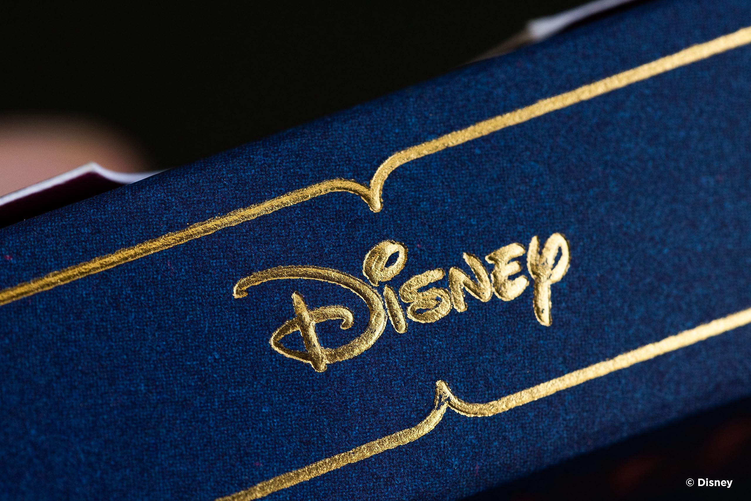 Bicycle(R)  Princess Pink/Navy Playing Cards