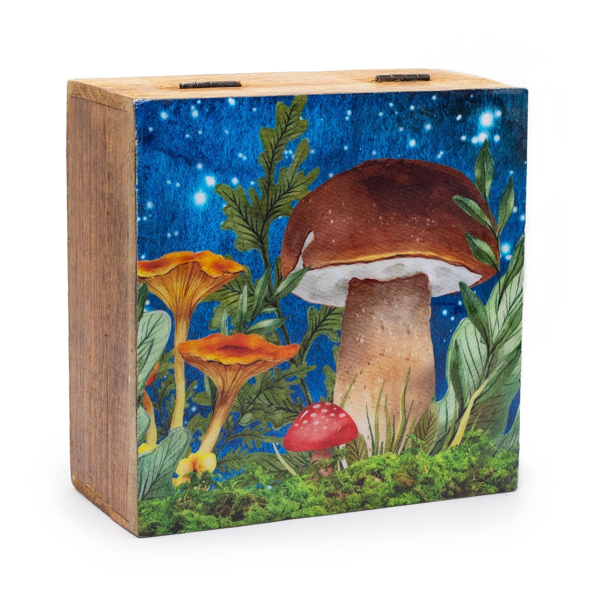 Big Square Box 15x17.5x8cm - Mushroom Design Teal Enamelled Boxes and Trays
