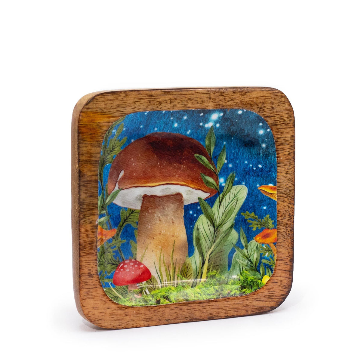 Big Square Trinket Tray 15x15x2.5cm - Mushroom Design Teal Enamelled Boxes and Trays