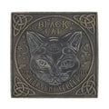 Black Cat Stepping Stone From Witch, Please!