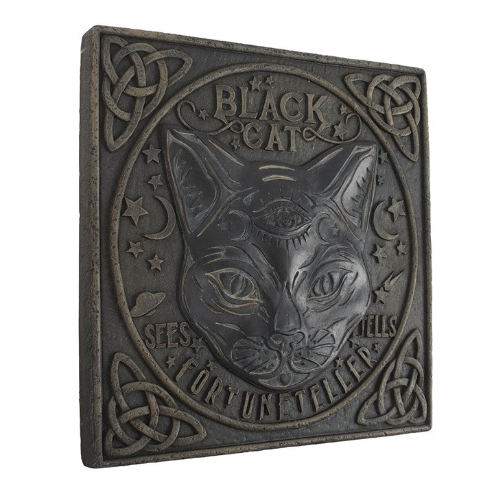 Black Cat Stepping Stone From Witch, Please!