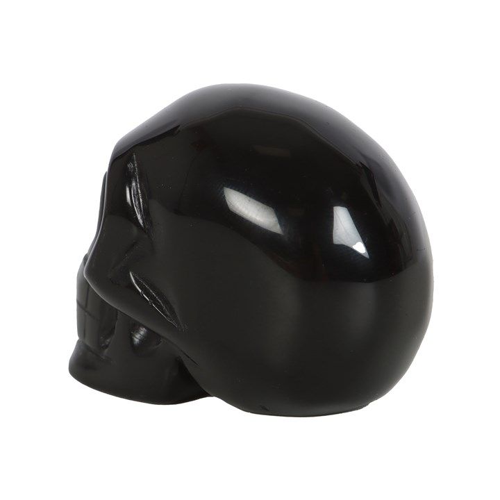 Black Obsidian Crystal Skull From Witch, Please!
