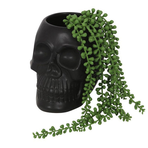 Black Skull Plant Pot From Witch, Please!