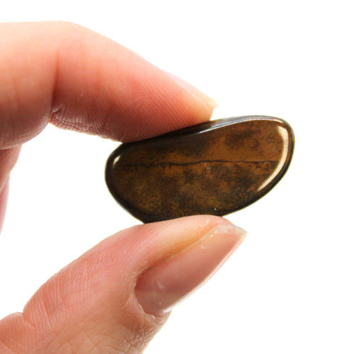 Small African Tumble Stones - Tigers Eye - Blue From Witch, Please!