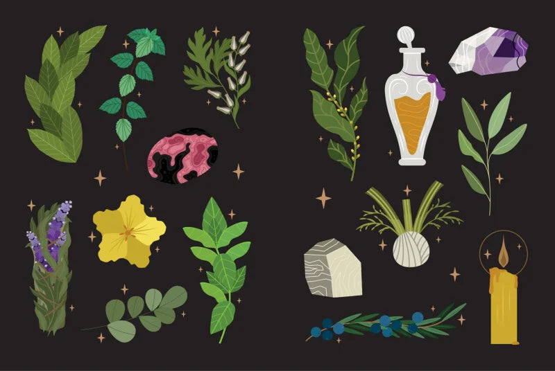 Botanical Magickal Stickers & Spells : Over 200 enchanting stickers, 40 spells & affirmations to reconnect you to nature?