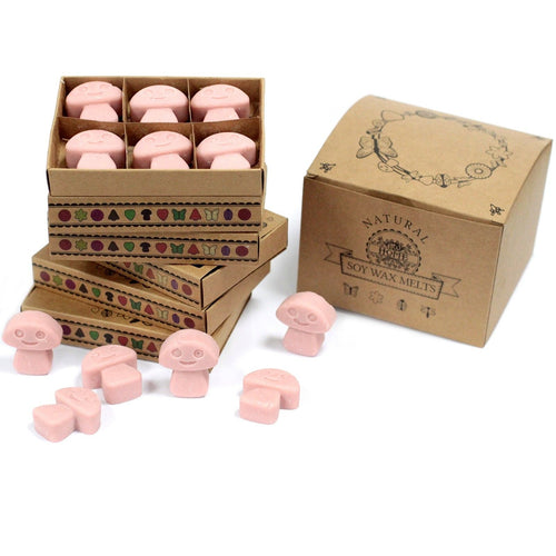 Box of 6 Wax Melts - Coffee Trader - Natural Soy Wax Melts