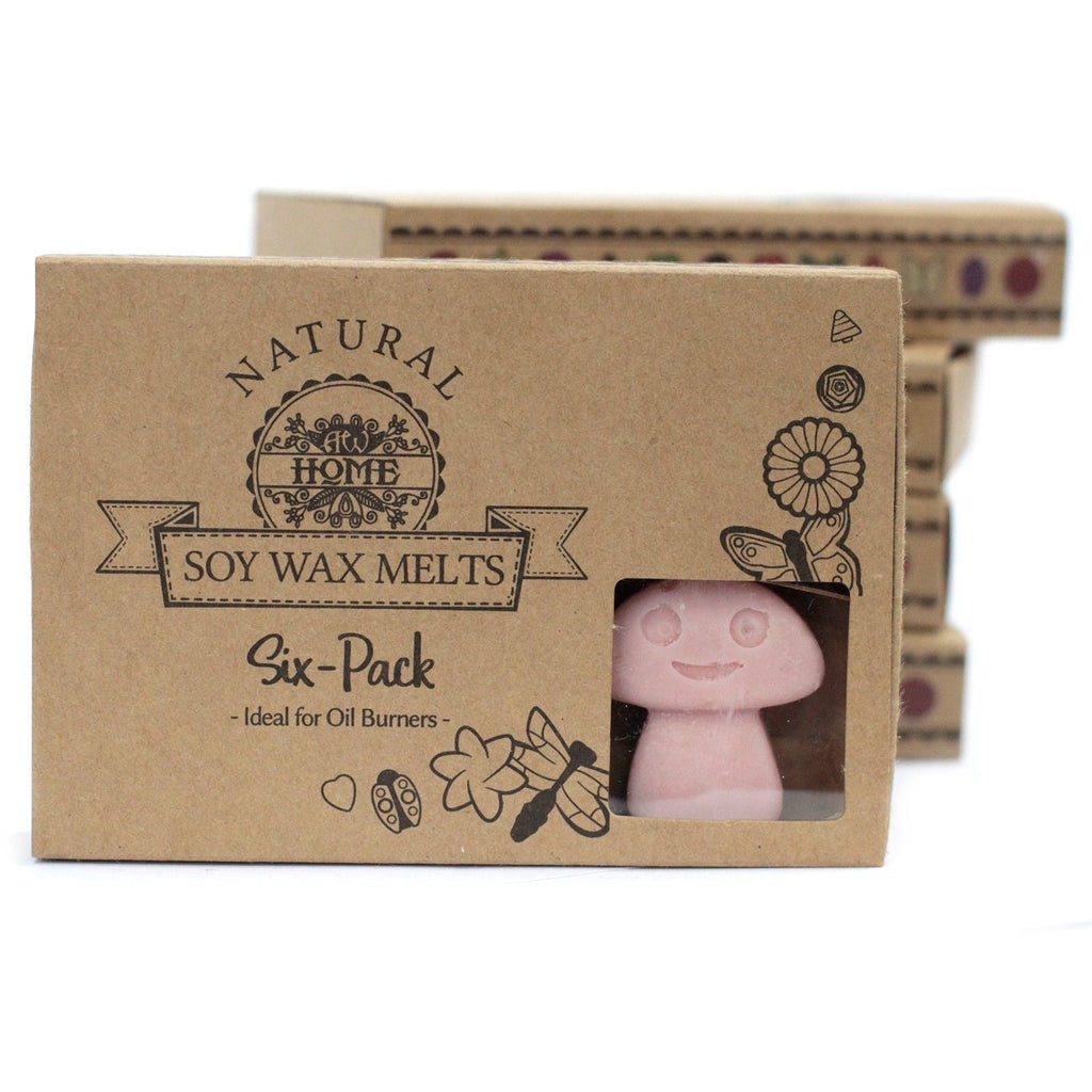 Box of 6 Wax Melts - Coffee Trader - Natural Soy Wax Melts