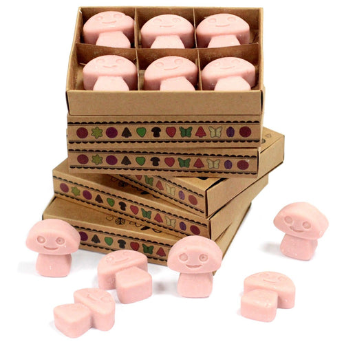 Box of 6 Wax Melts - Coffee Trader - Natural Soy Wax Melts