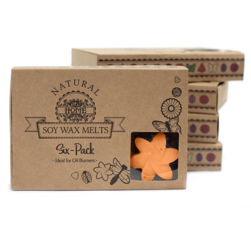 Box of 6 Wax Melts - Mango Fruits - Natural Soy Wax Melts