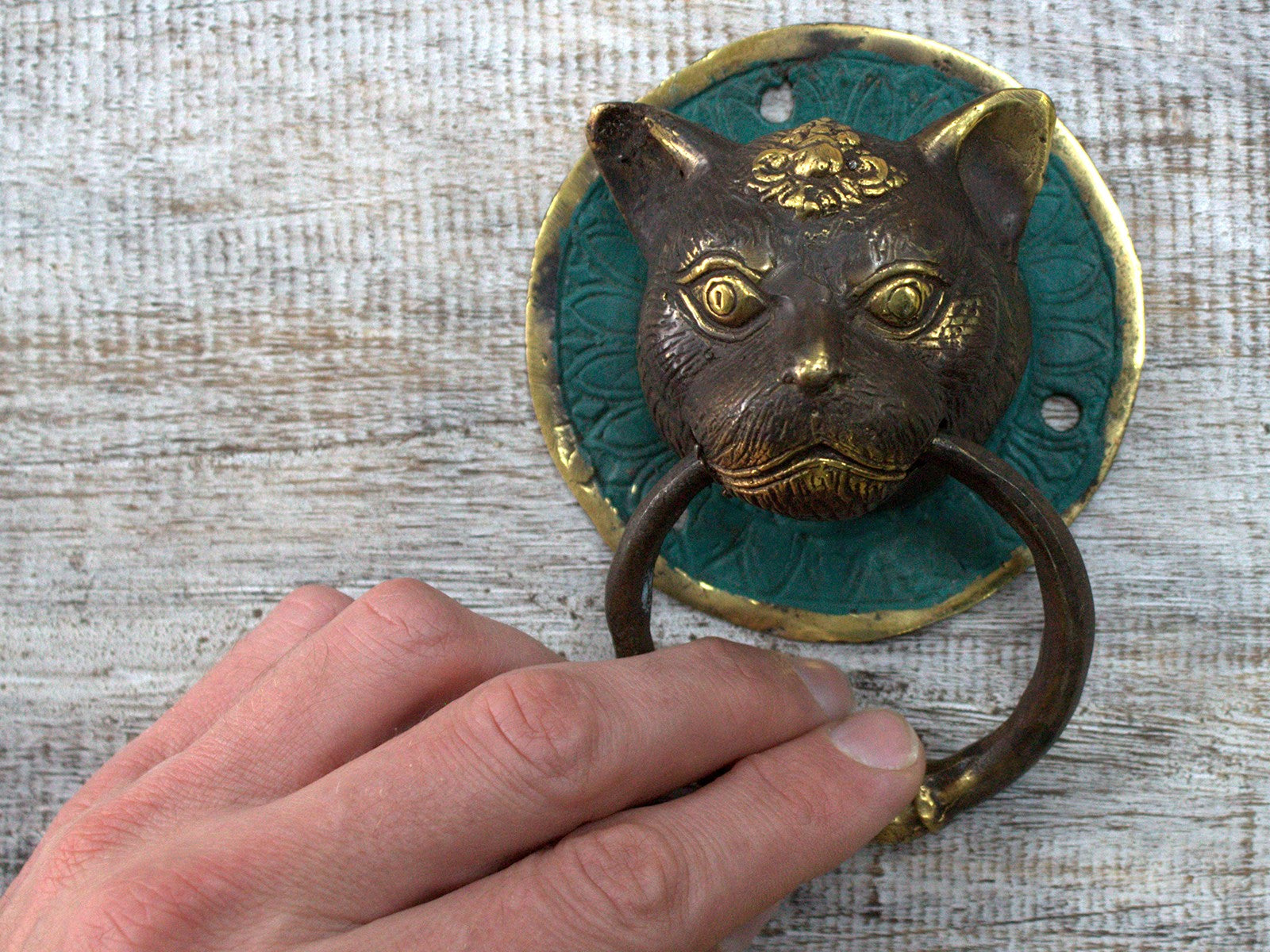 Brass Door Knocker - Cats Head From Witch, Please!