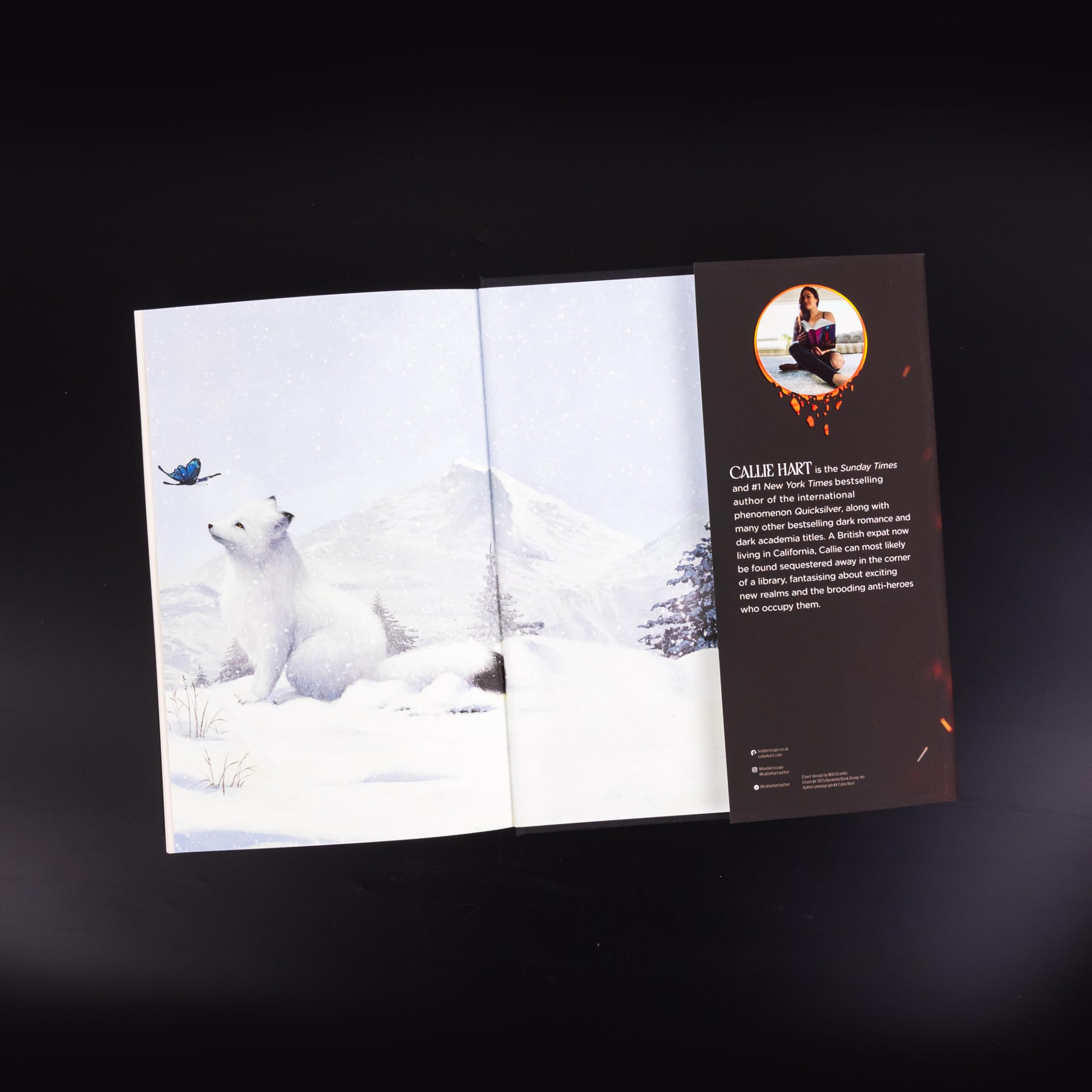 Brimstone : sequel to the addictive enemies-to-lovers romantasy global sensation QUICKSILVER