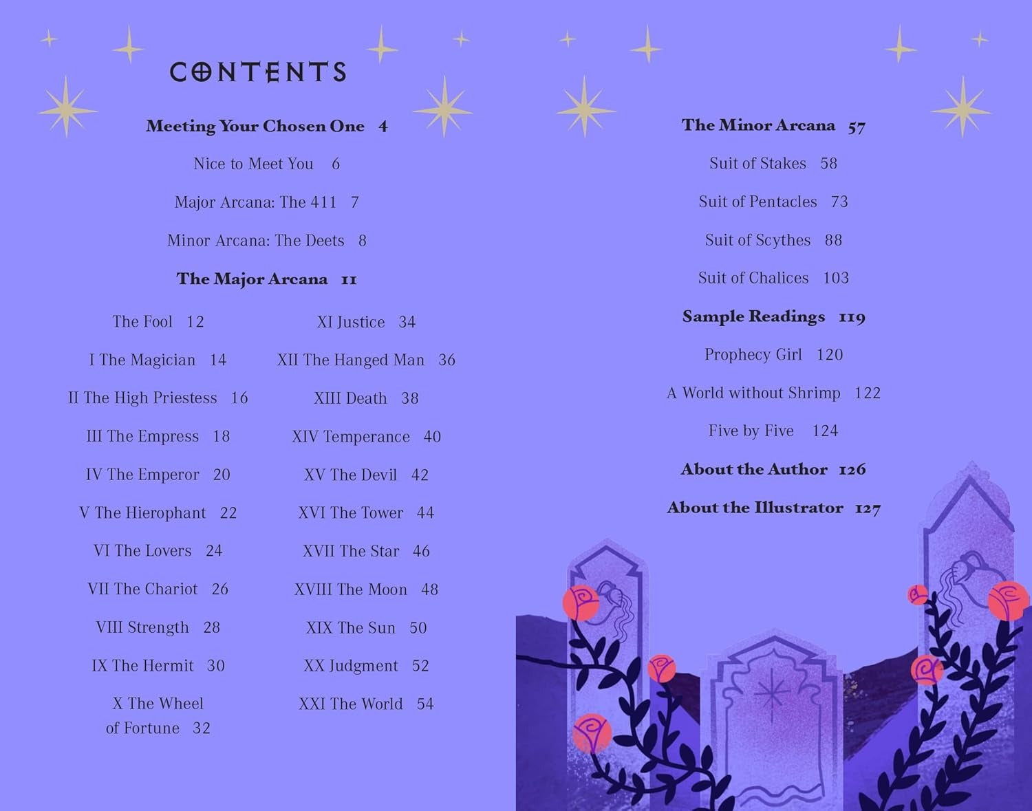 Buffy the Vampire Slayer Tarot Deck and Guidebook Novelty book Book