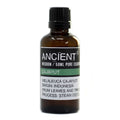 Cajaput 50ml Professional Essential Oil