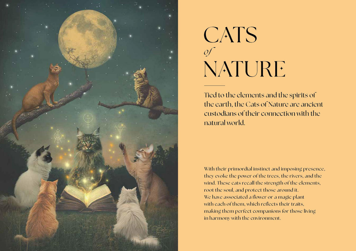 Cats,  A Mystical Guide : Magic, Wisdom, and Powers of Feline Breeds