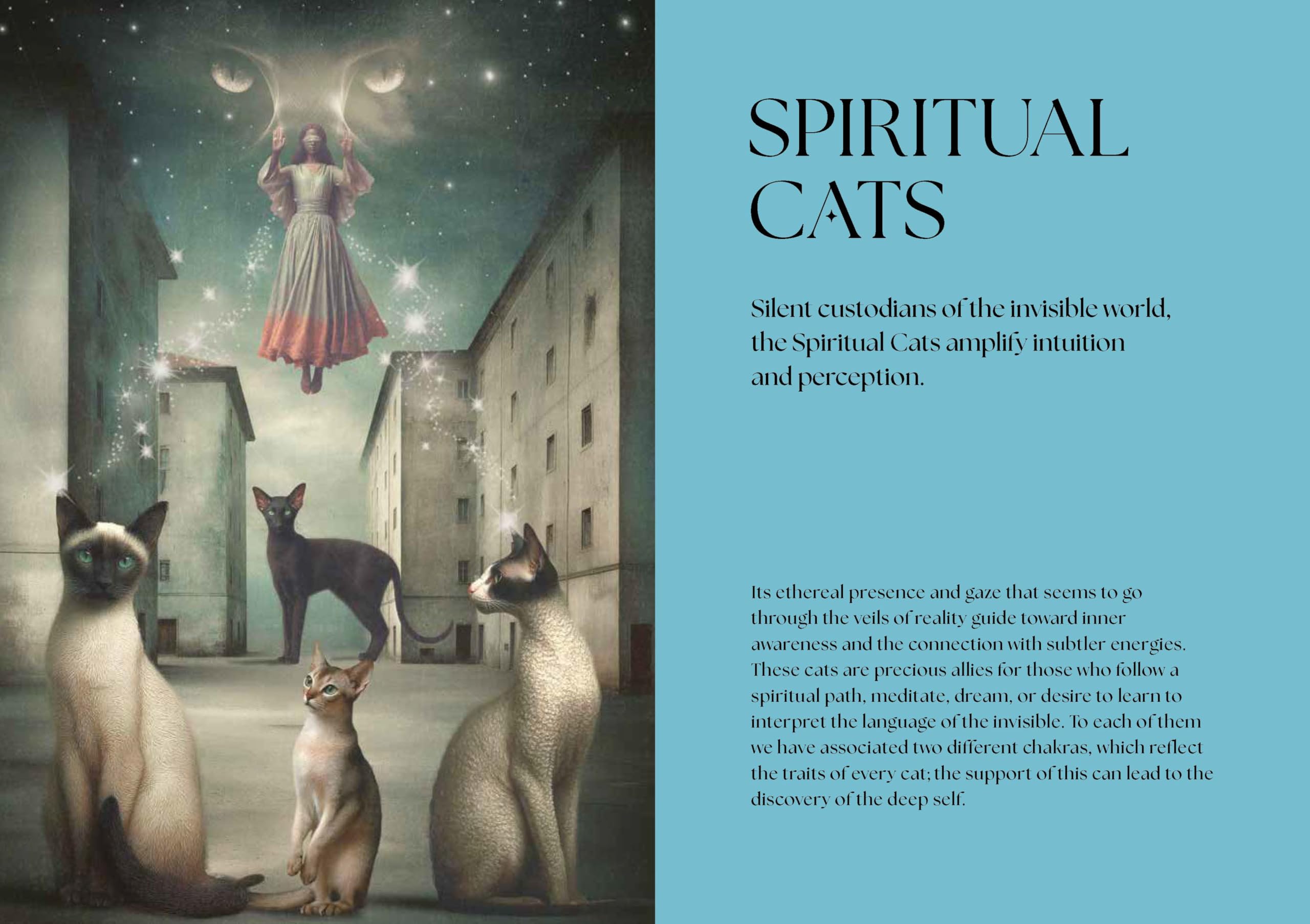 Cats,  A Mystical Guide : Magic, Wisdom, and Powers of Feline Breeds