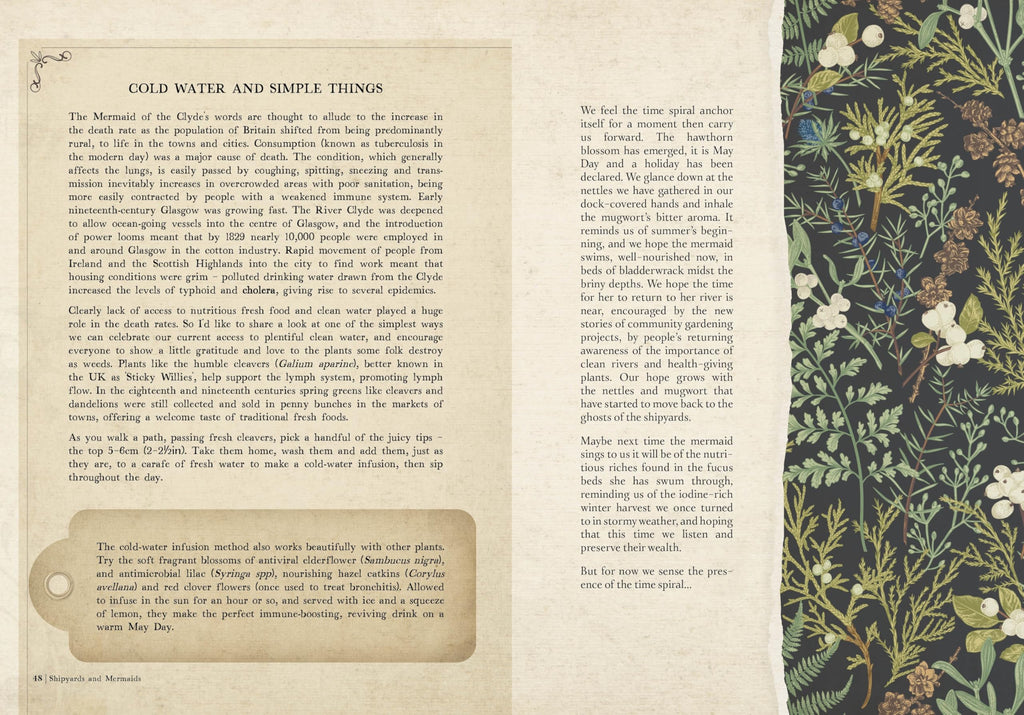 Collected Curiosities : More Stories and Recipes from the Historical Apothecary Cabinet