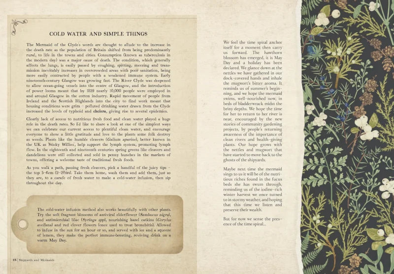 Collected Curiosities : More Stories and Recipes from the Historical Apothecary Cabinet
