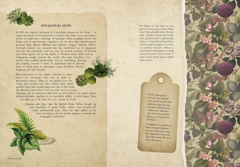 Collected Curiosities : More Stories and Recipes from the Historical Apothecary Cabinet