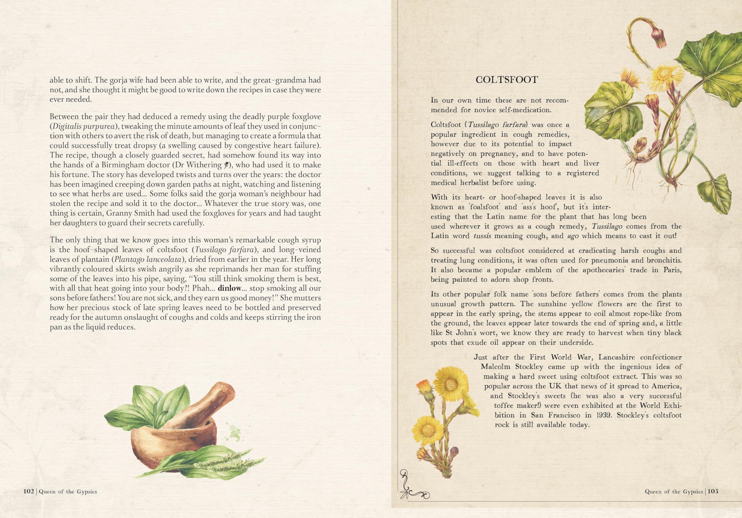 Collected Curiosities : More Stories and Recipes from the Historical Apothecary Cabinet