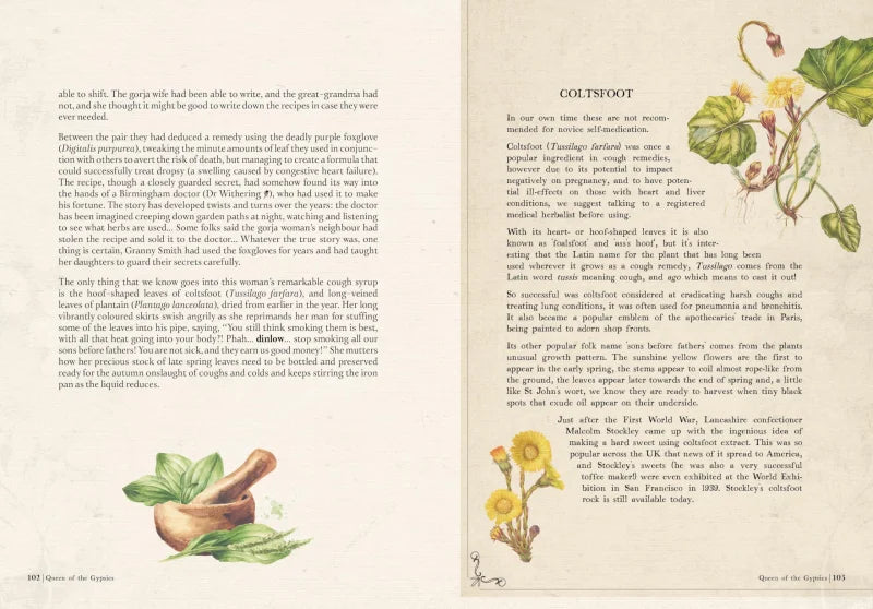 Collected Curiosities : More Stories and Recipes from the Historical Apothecary Cabinet