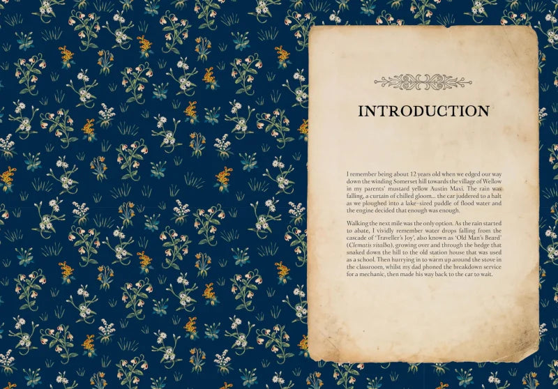 Collected Curiosities : More Stories and Recipes from the Historical Apothecary Cabinet