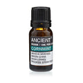 10 ml Cornmint Essential Oils