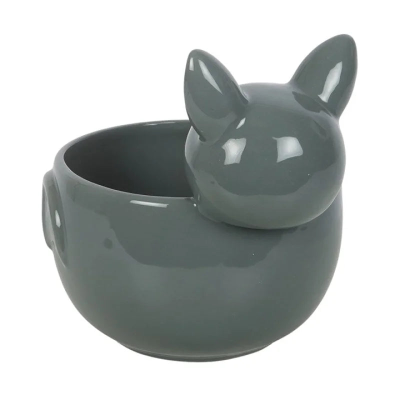 Cute Bat Bowl