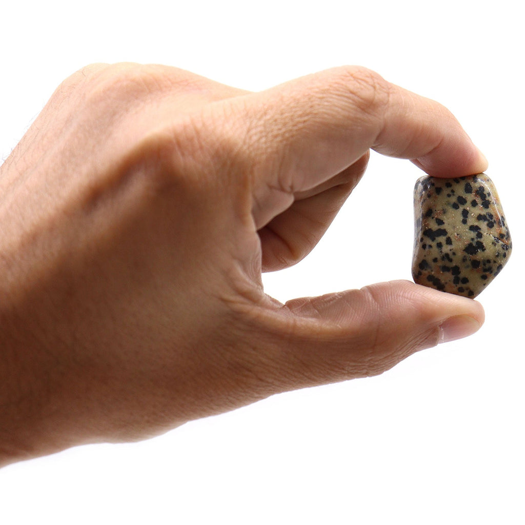 L Tumble Stones - Dalmation Stone From Witch, Please!