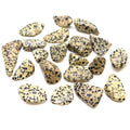 L Tumble Stones - Dalmation Stone From Witch, Please!