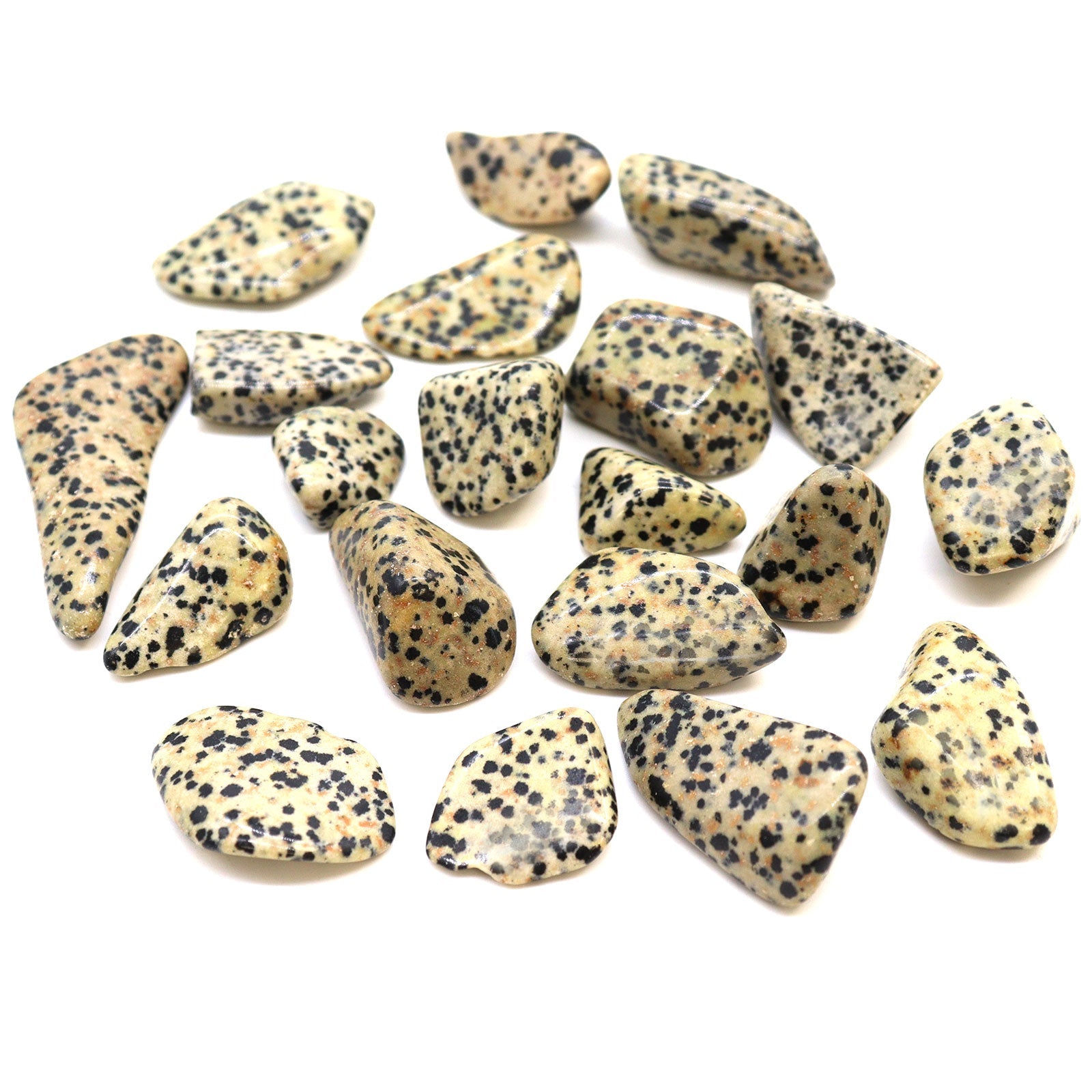 L Tumble Stones - Dalmation Stone From Witch, Please!