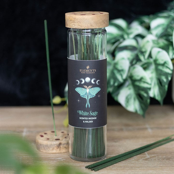 4 Packs of Dark Forest White Sage Incense Sticks From Witch, Please!