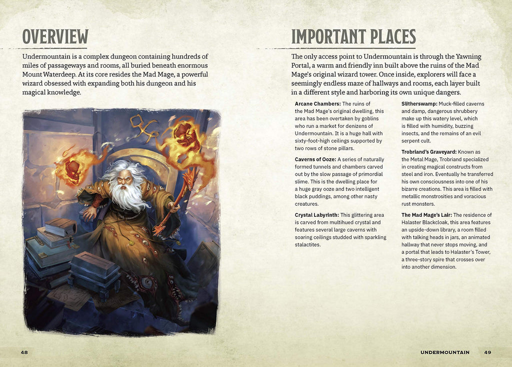 Dungeons and Tombs: Dungeons and Dragons : A Young Adventurer's Guide