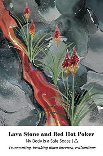 Earth Alchemy Oracle: Cards to connect the wisdom of plants and crystals Kit Book