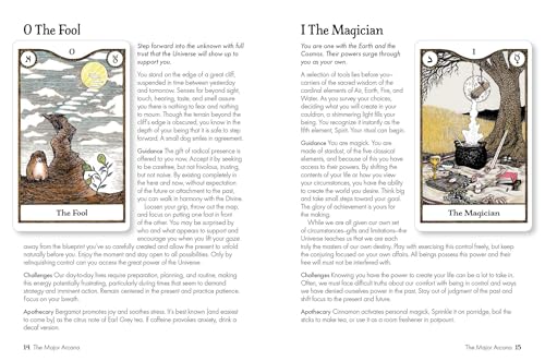 Elemental Power Tarot: Includes a Full Deck of 78 Cards and 64-Page Illustrated Book Mixed media product