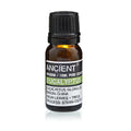 10 ml Eucalyptus Essential Oil From Witch, Please!