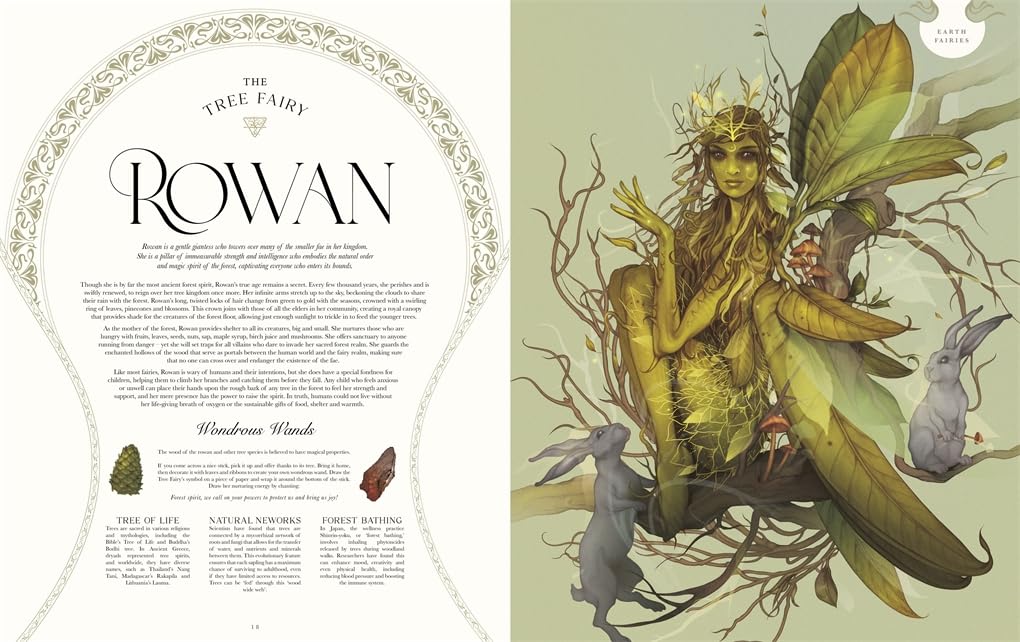 Faedom : Enter the World of Fairies - Sold by Witch, Please!