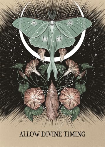 Fated: A Pocket Love Oracle: 13-Card Deck and Guidebook Cards Book