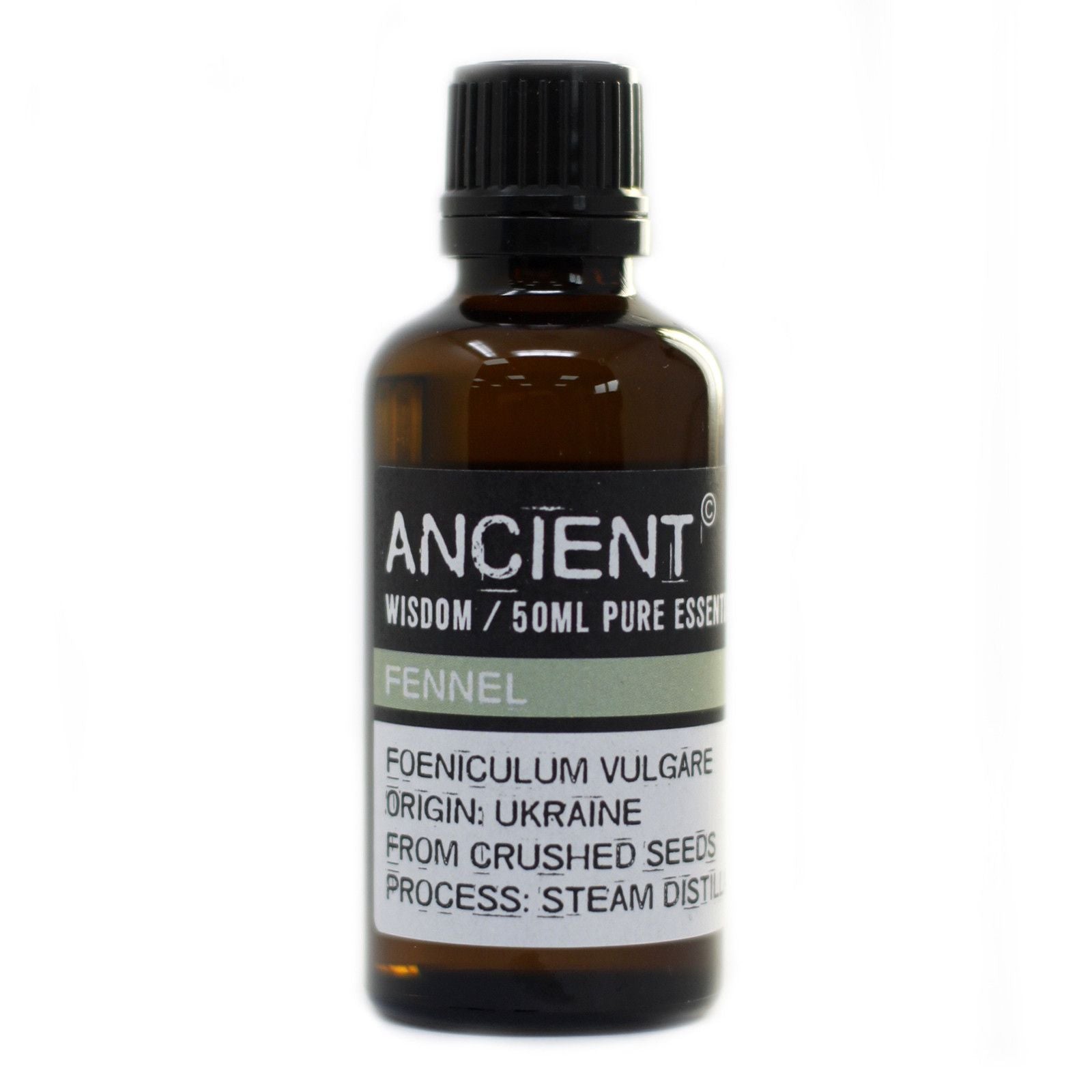Fennel 50ml Professional Essential Oil
