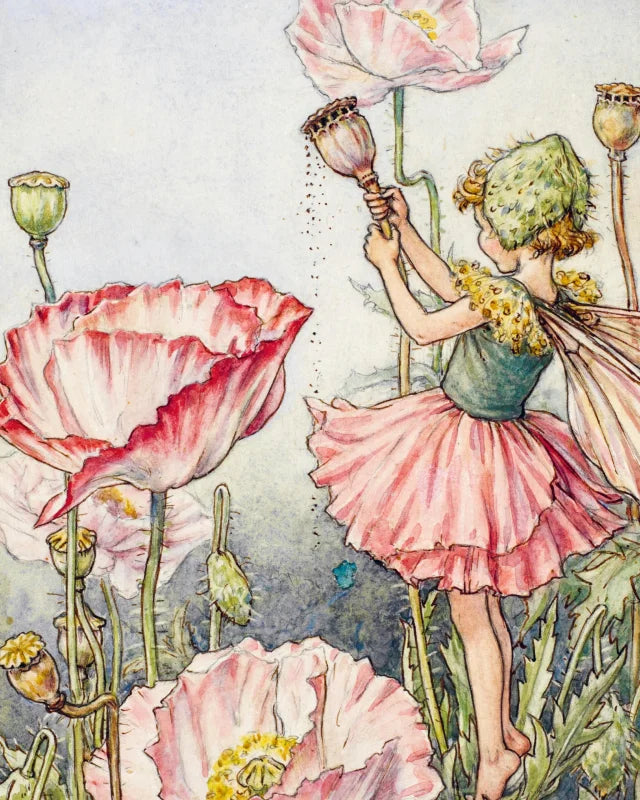 Flower Fairies to Cut out and Collage : Over 500 Timeless Illustrations to Inspire Creativity