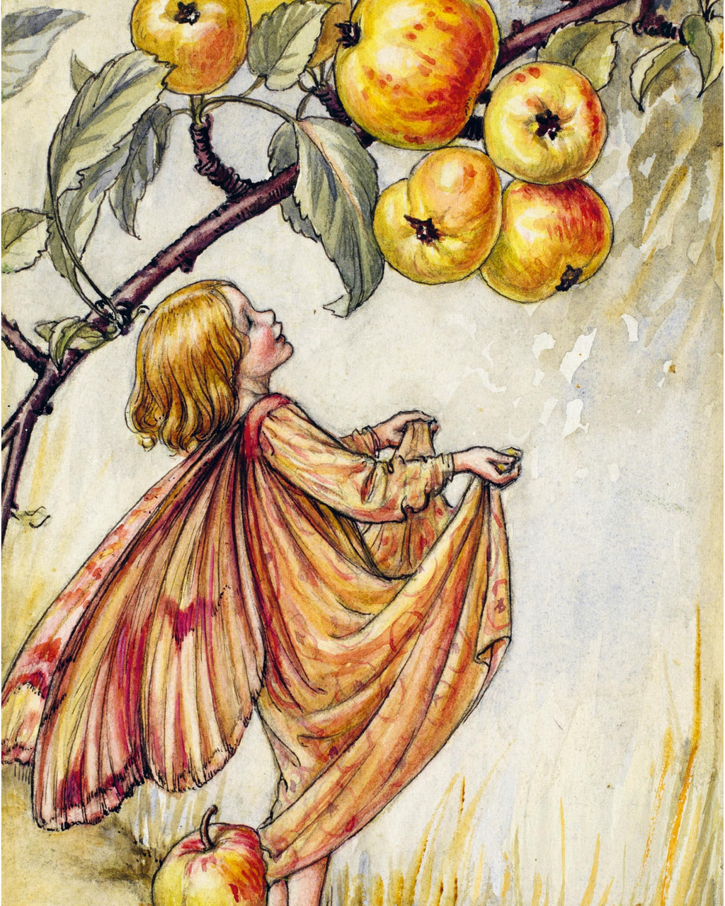 Flower Fairies to Cut out and Collage : Over 500 Timeless Illustrations to Inspire Creativity