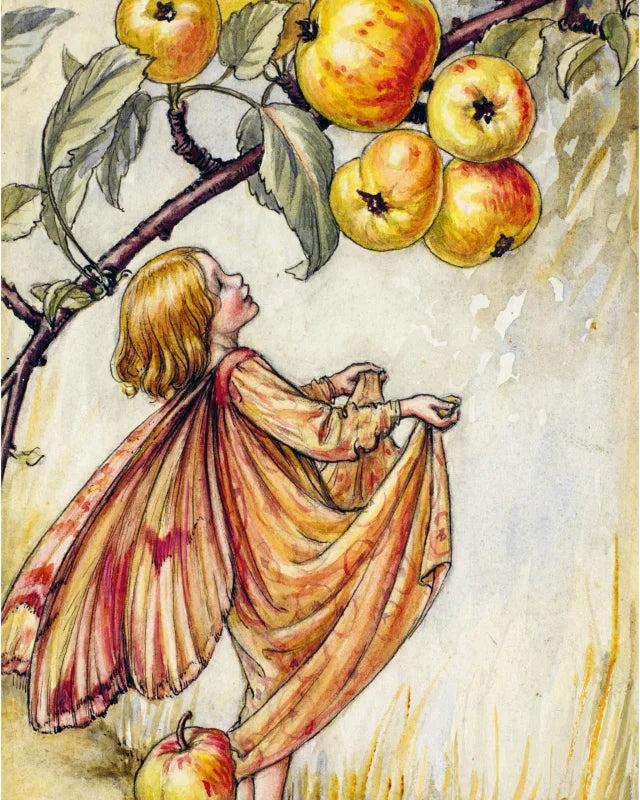Flower Fairies to Cut out and Collage : Over 500 Timeless Illustrations to Inspire Creativity