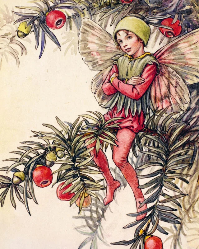 Flower Fairies to Cut out and Collage : Over 500 Timeless Illustrations to Inspire Creativity