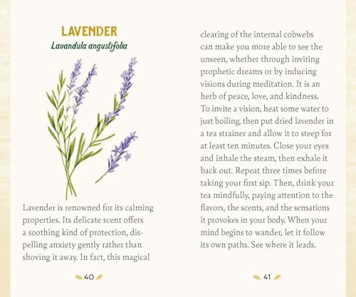 Forest Magic Oracle: A Deck and Guidebook for Green Witches Multiple-component retail product Book