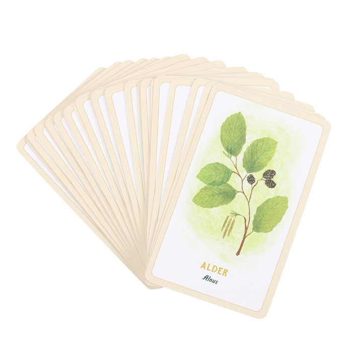 Forest Magic Oracle Cards From Witch, Please!