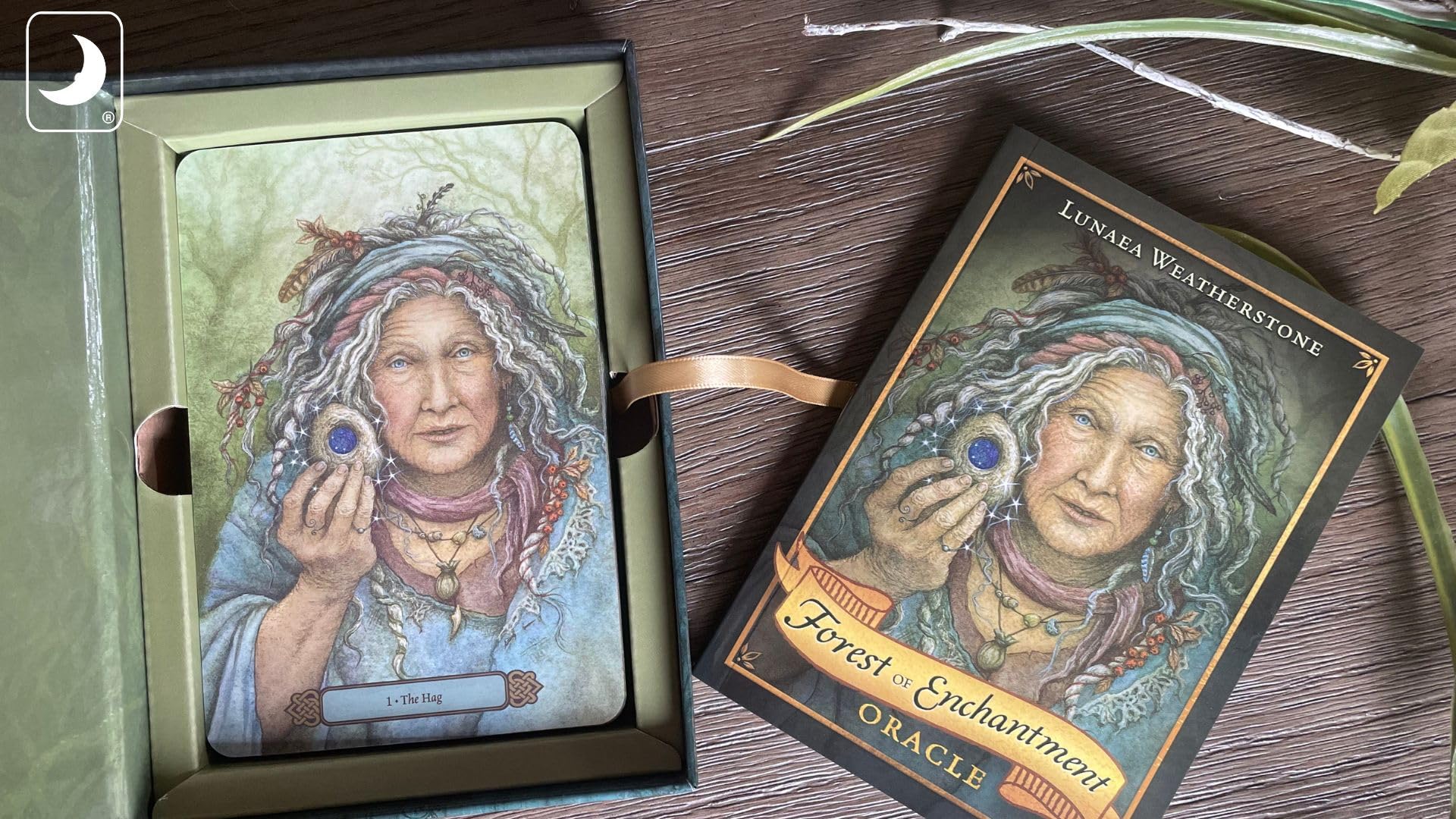 Forest of Enchantment Oracle